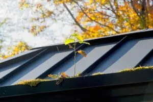 Dach fit für Herbst und Winter: Was Hausbesitzer jetzt kontrollieren sollten